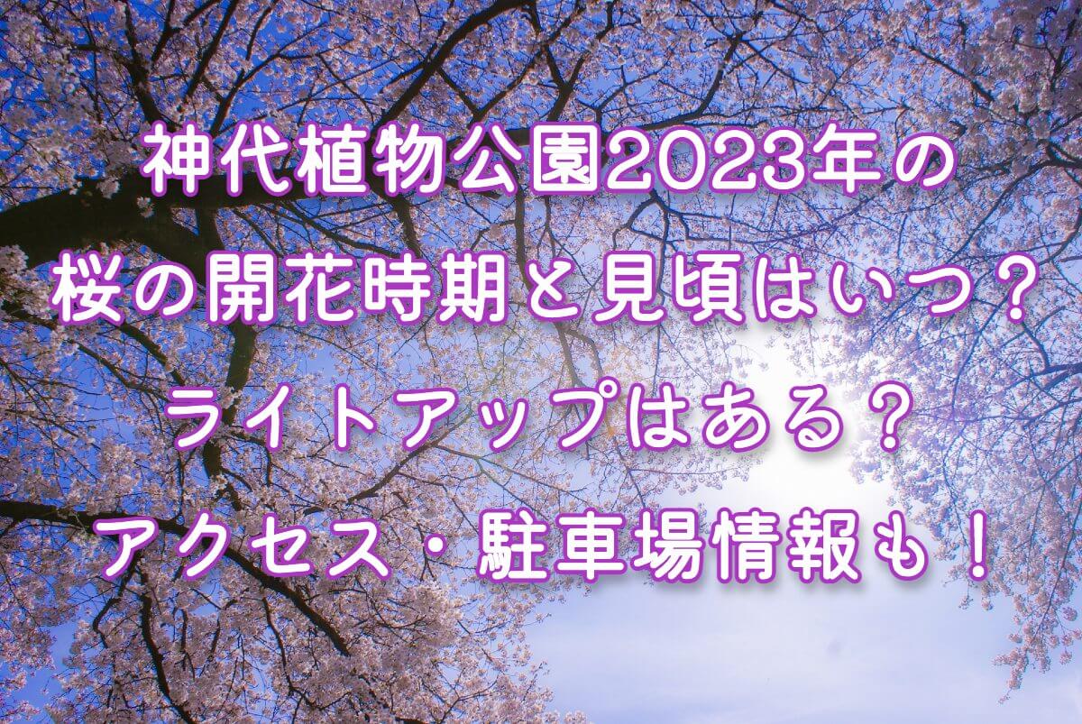 神代植物公園2023年の桜の開花時期と見頃はいつ？ライトアップはある？ アクセス・駐車場情報も！