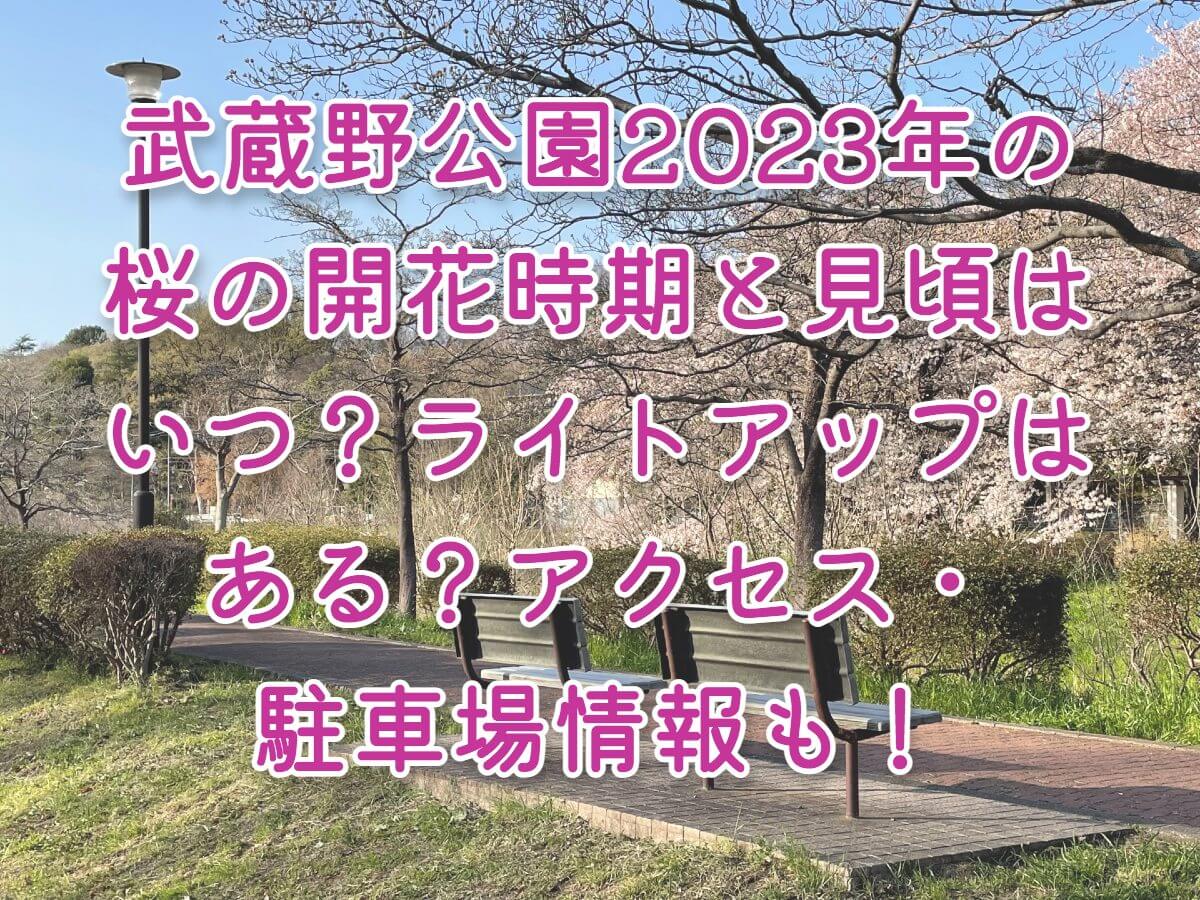 武蔵野公園2023年の桜の開花時期と見頃はいつ？ライトアップはある？アクセス・駐車場情報も！