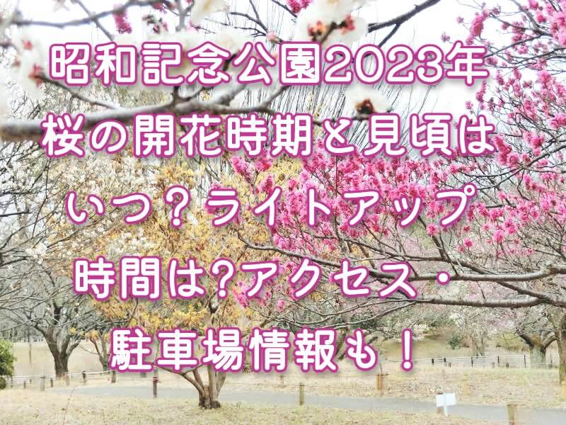 昭和記念公園2023年の桜の開花時期と見頃はいつ？ライトアップ時間は? アクセス・駐車場情報も！