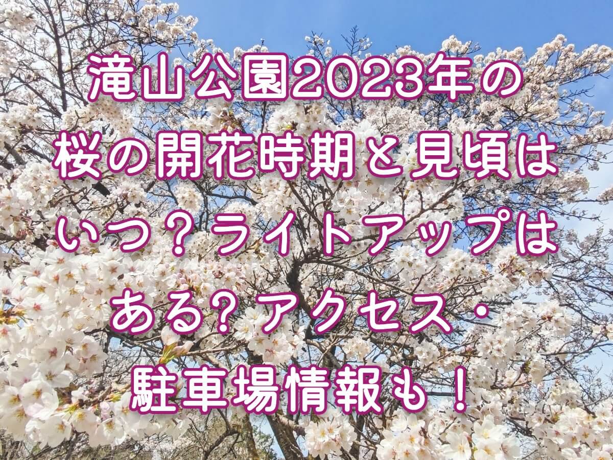 滝山公園2023年の桜の開花時期と見頃はいつ？ライトアップはある? アクセス・駐車場情報も！