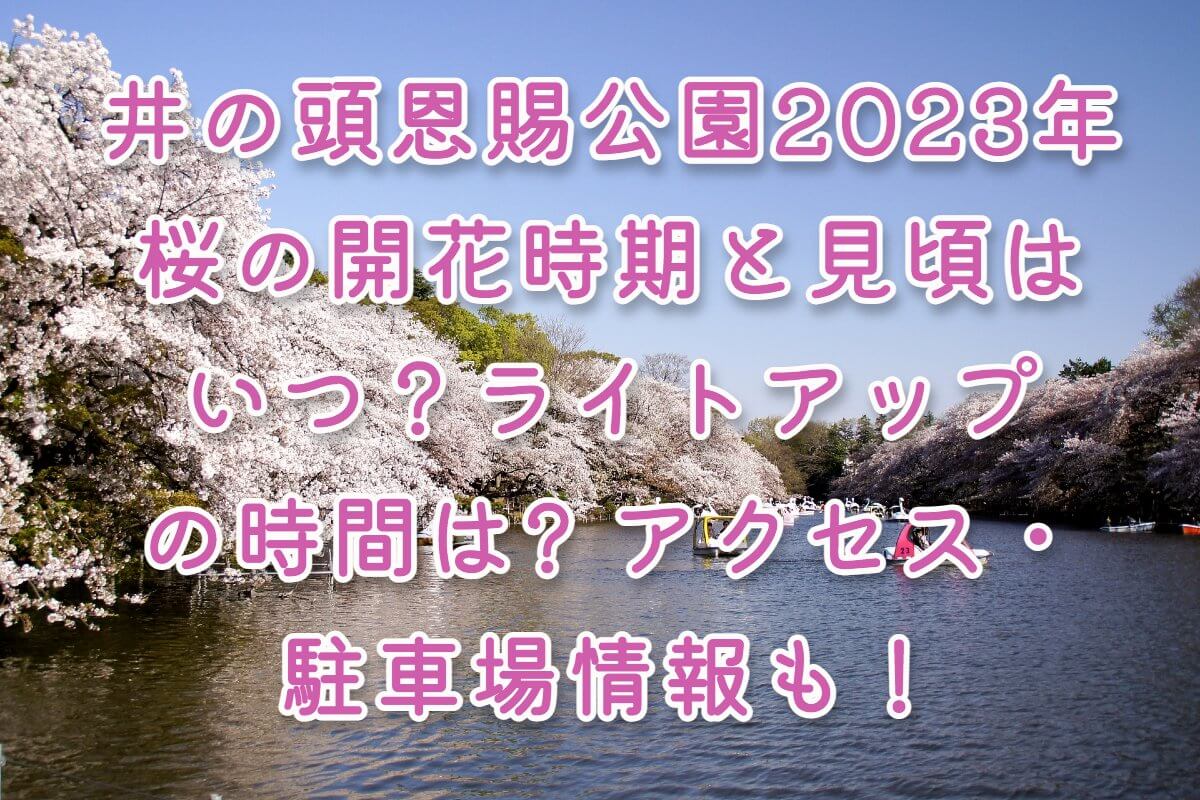 井の頭恩賜公園2023年の桜の開花時期と見頃はいつ？ライトアップ時間は? アクセス・駐車場情報も！